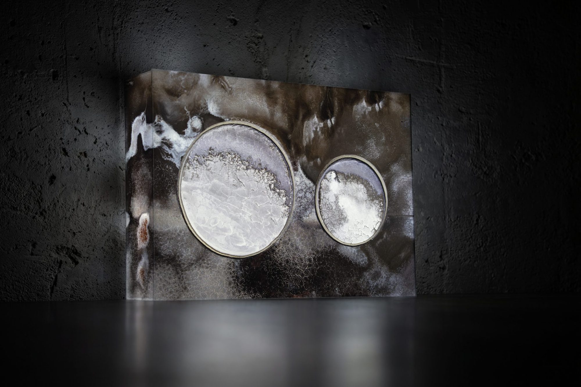 Socius, 2025 — Lightbox fotográfico